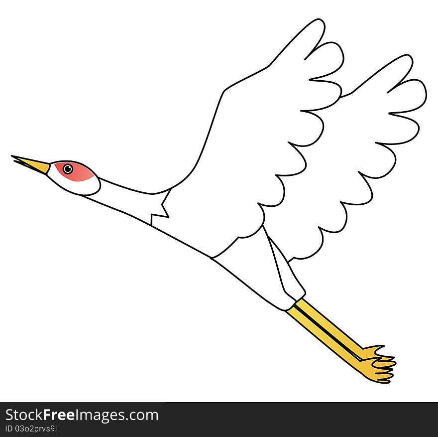 Crane bird