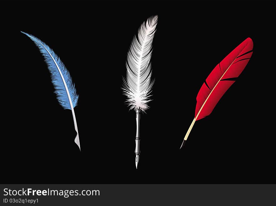 Feathers collection