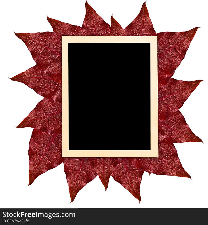 Blank photo frame on leaves for background. Blank photo frame on leaves for background