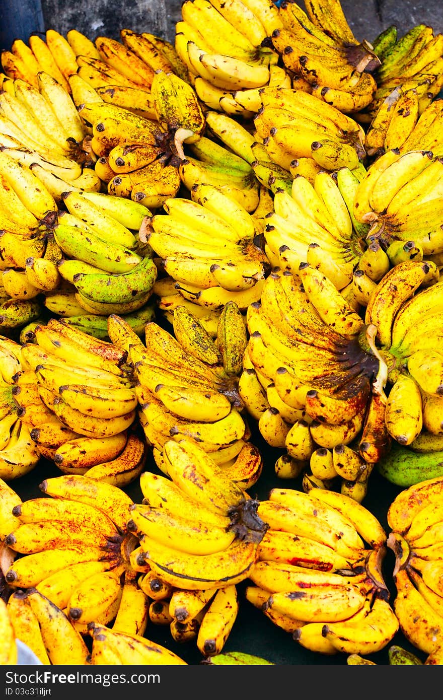 Freshly harvested bananas being displayed for sale. Freshly harvested bananas being displayed for sale