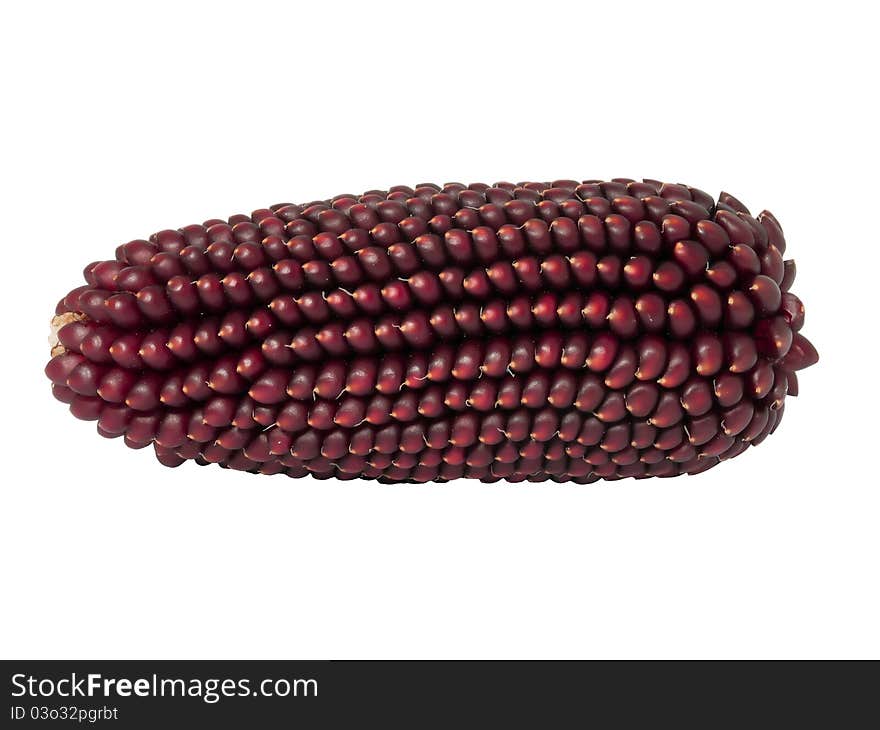 Variety of corn - corn on the cob brown. Variety of corn - corn on the cob brown