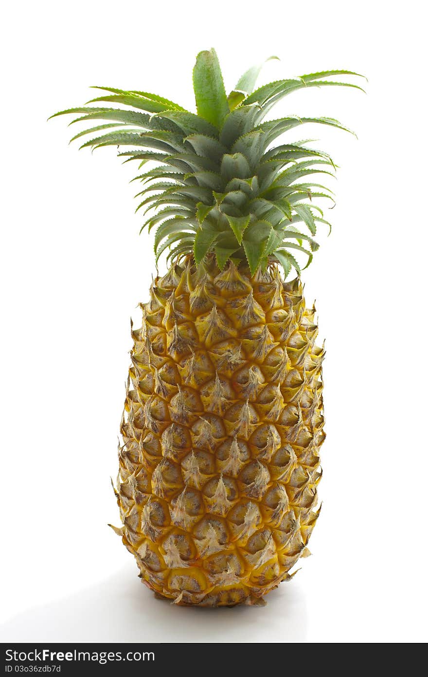 Sweet pineapple on white background