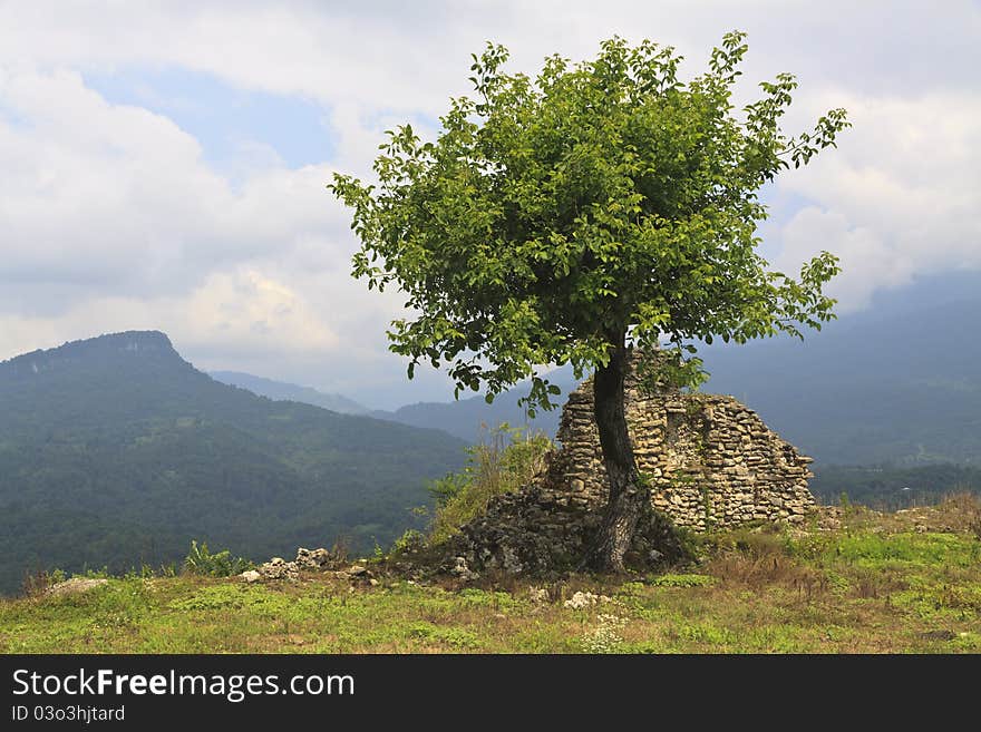 Lonely Tree And Ruins On Mountain