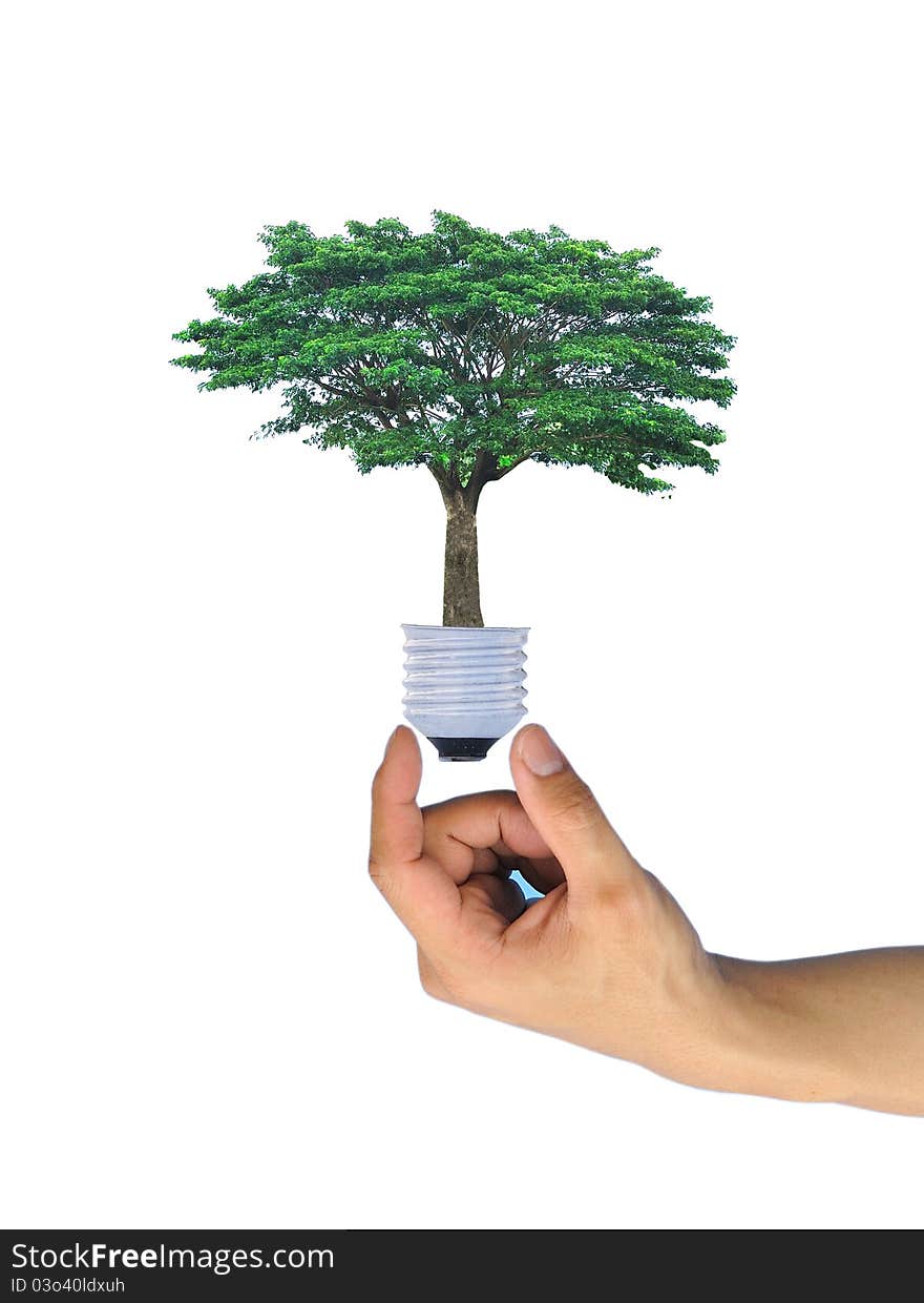 Light bulb in hand (green tree growing in a bulb)