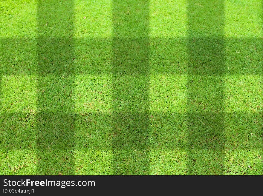 Top view of Beautiful square tone lawn. Top view of Beautiful square tone lawn.