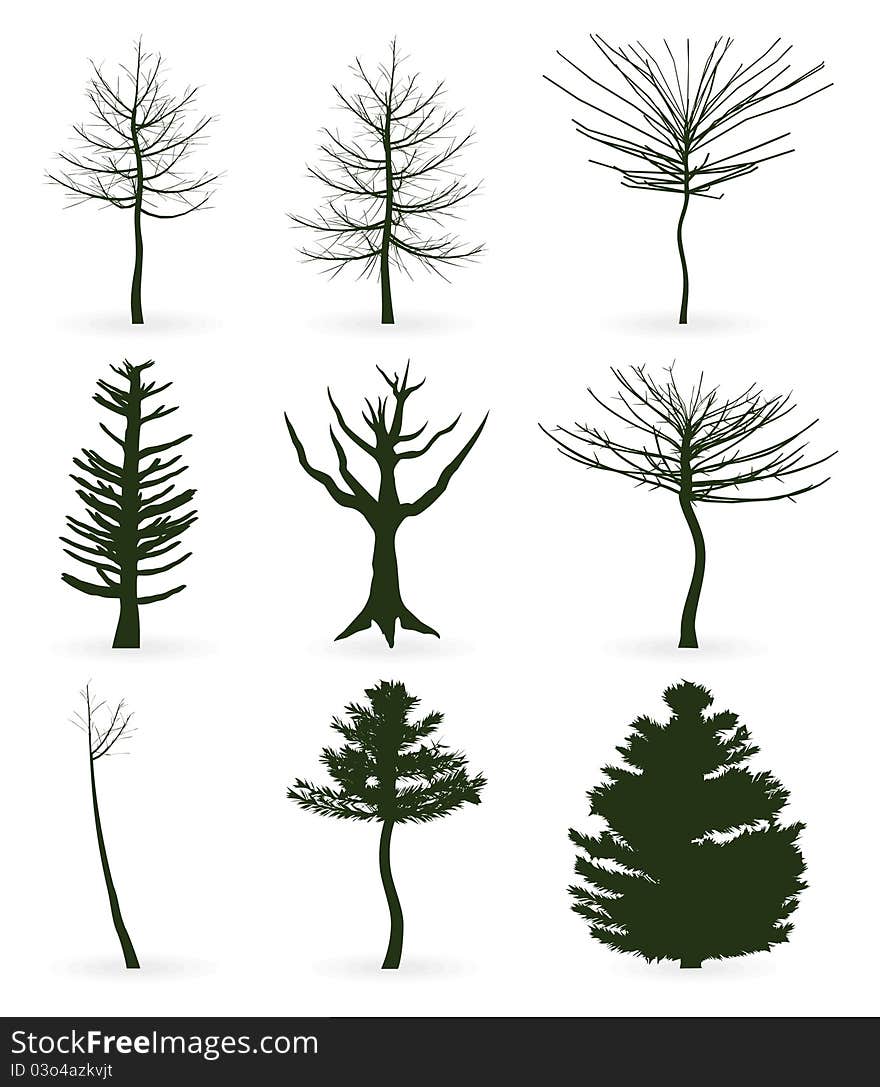 Silhouettes of trees on a white background. A vector illustration. Silhouettes of trees on a white background. A vector illustration