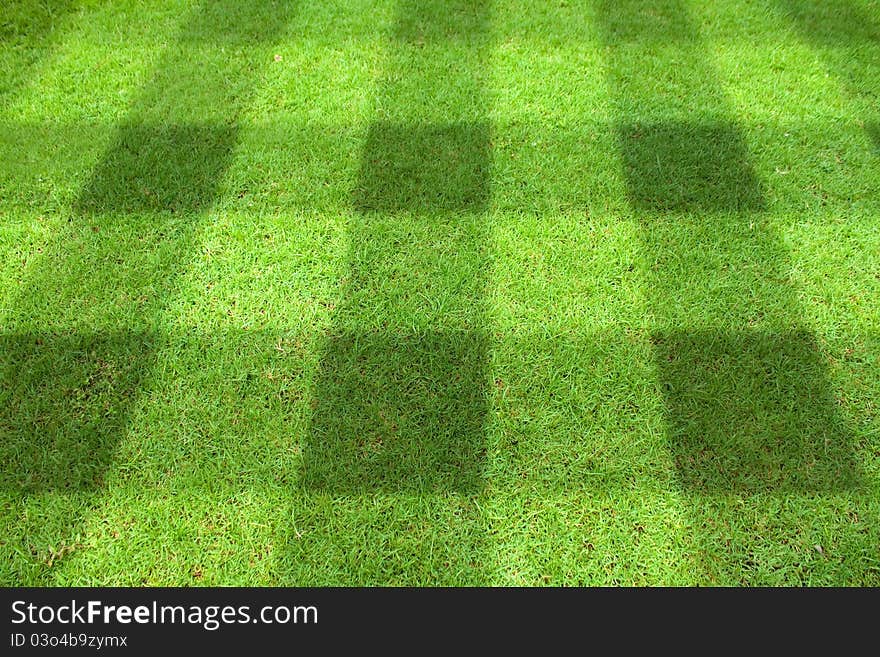 Top view of Beautiful square tone lawn. Top view of Beautiful square tone lawn.