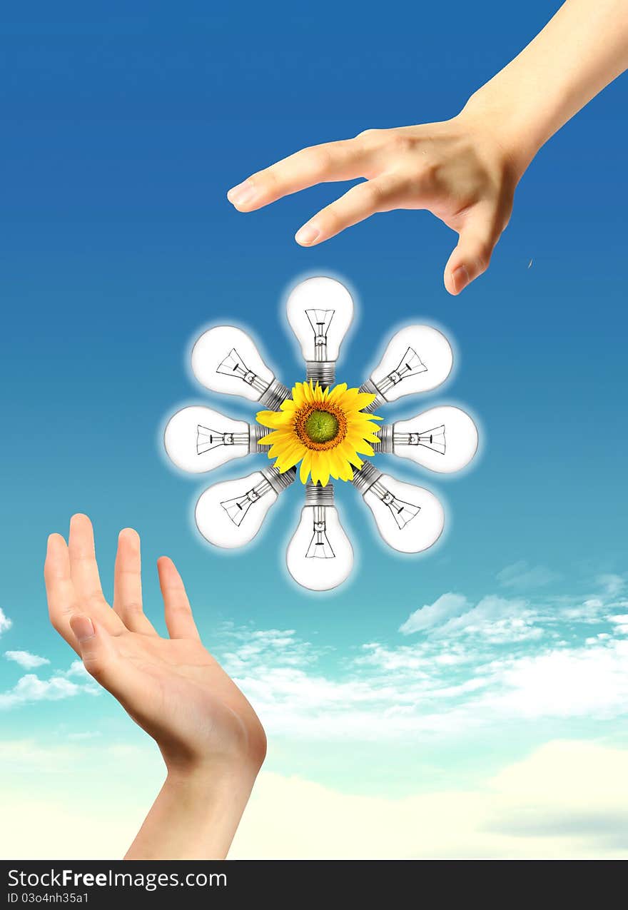 A light bulb with sunflower and sky.