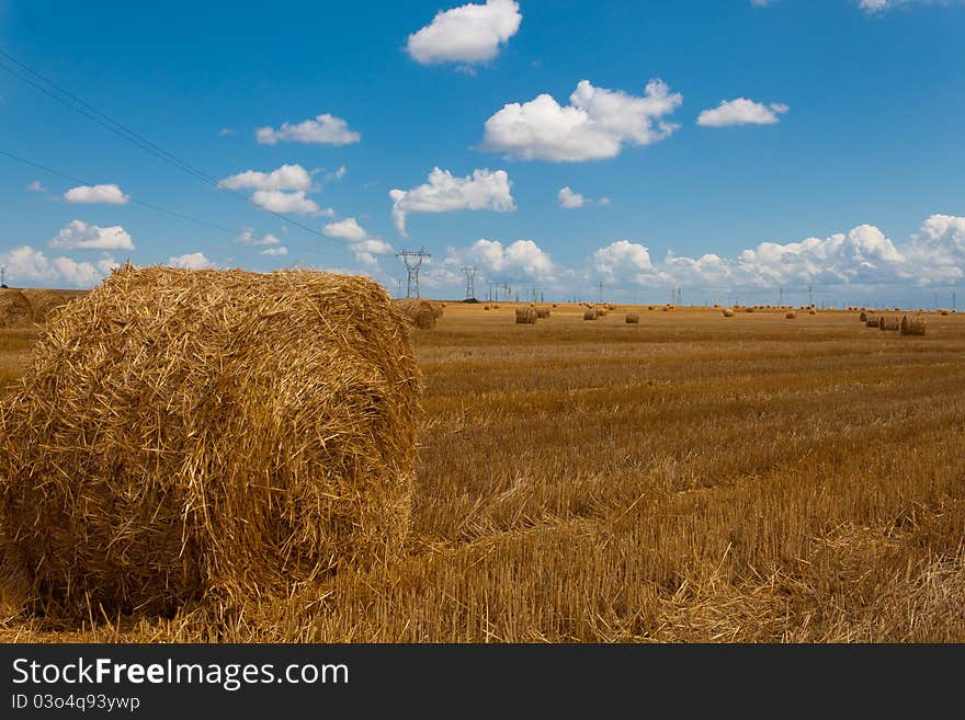 Field Hay Bales