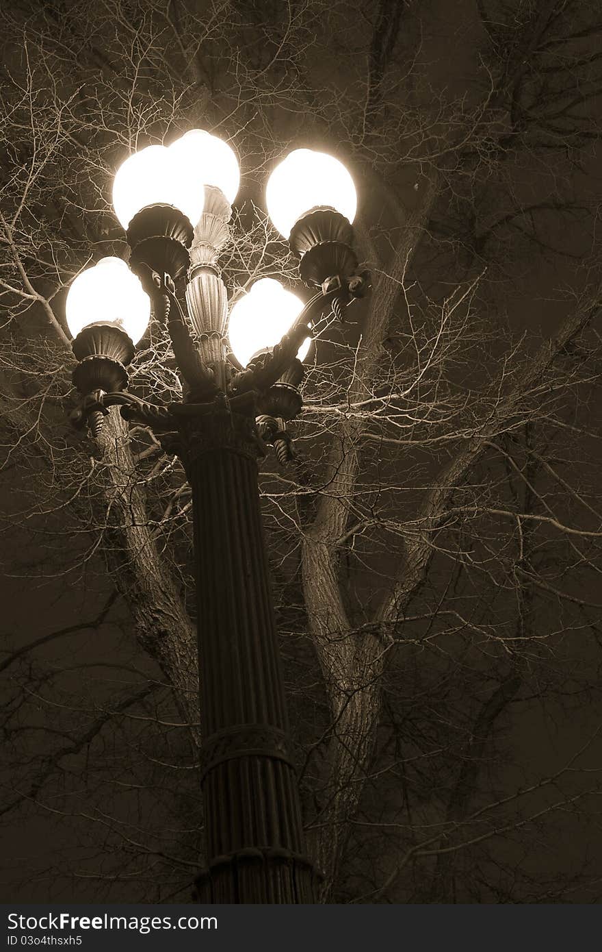 Old lantern illuminates the dry tree. Old lantern illuminates the dry tree