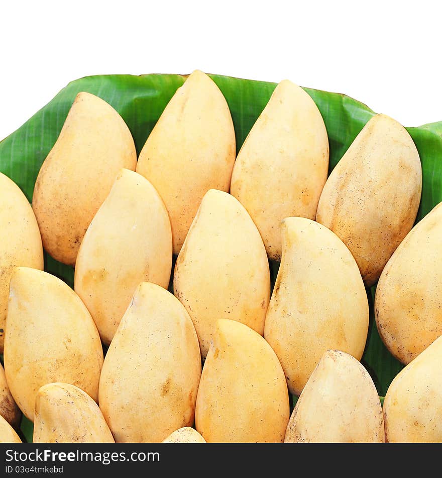 Row of Thai sweet mango isolated on white