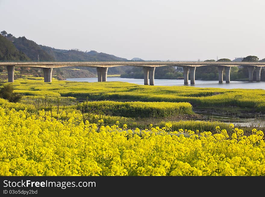 Elevated highway through rural china with oilseed rapes field in foreground, anhui province, china. Elevated highway through rural china with oilseed rapes field in foreground, anhui province, china.