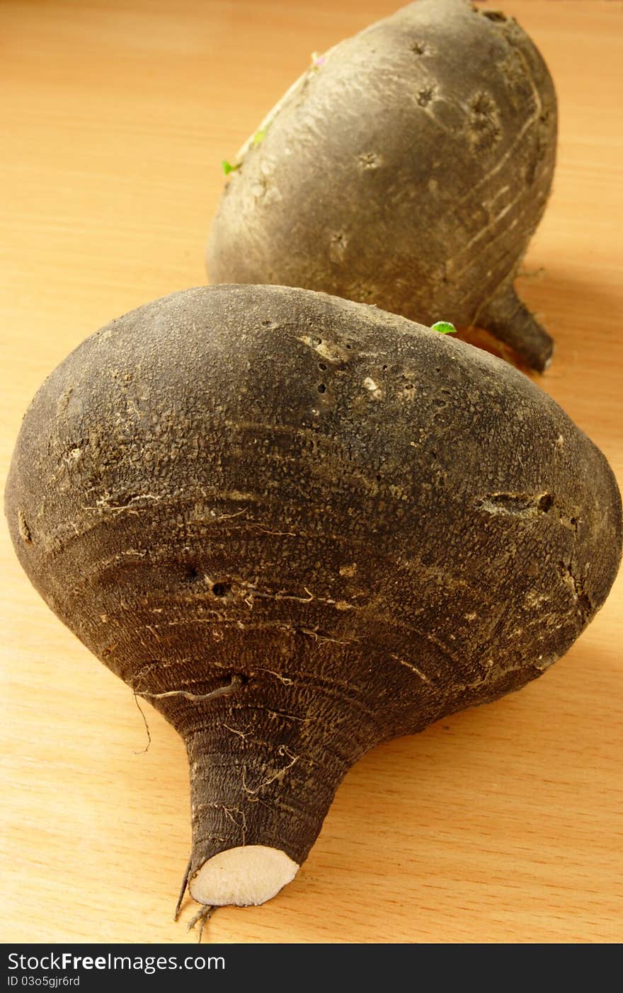 Black radish on the table