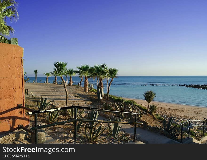 View of a beach in summer time