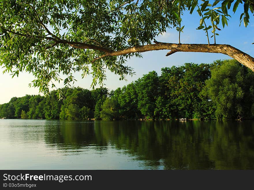 With a calm river flow, in the foreground branch. With a calm river flow, in the foreground branch