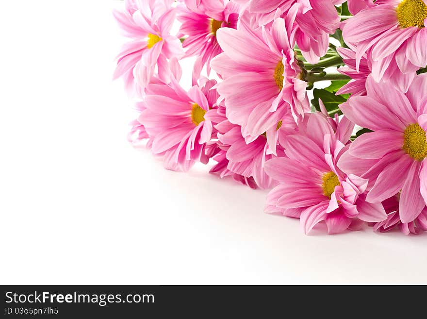 Bouquet of pink flowers on a white background