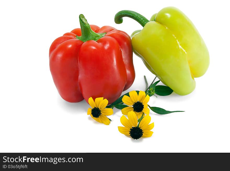 Red And Green Paprika With Yellow Colors