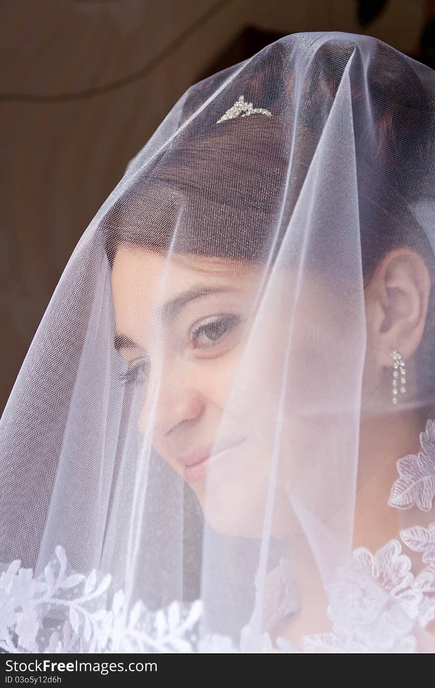 Portrait of the beautiful bride