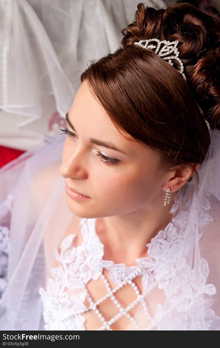 Portrait of a beautiful bride