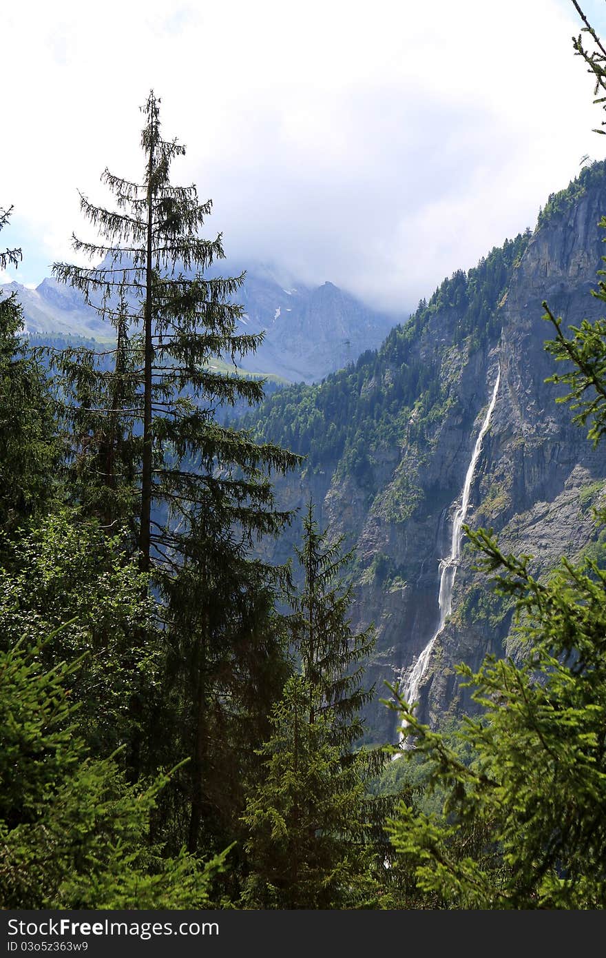 Alpine landscape