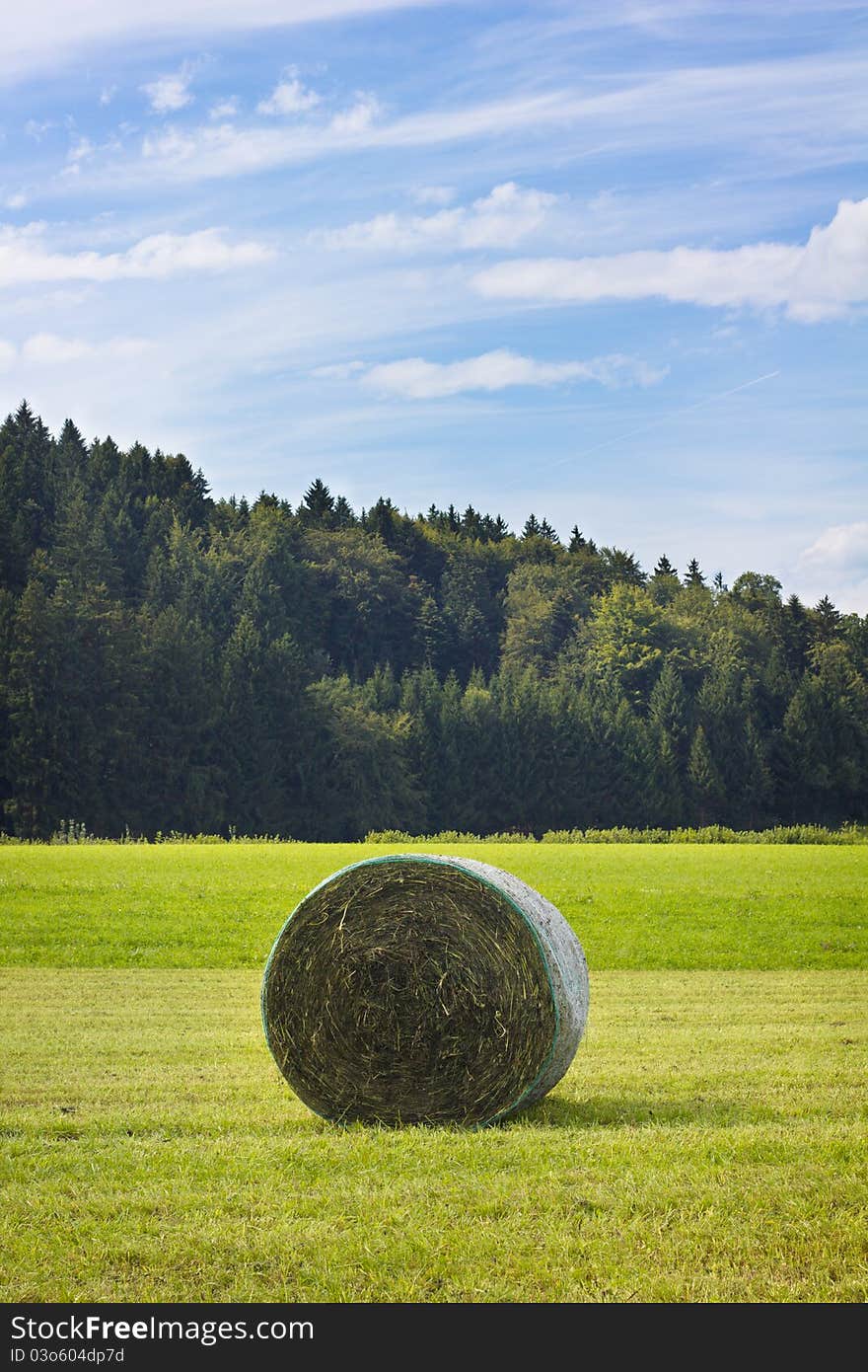 A scenic summer view of field with hay bale. A scenic summer view of field with hay bale