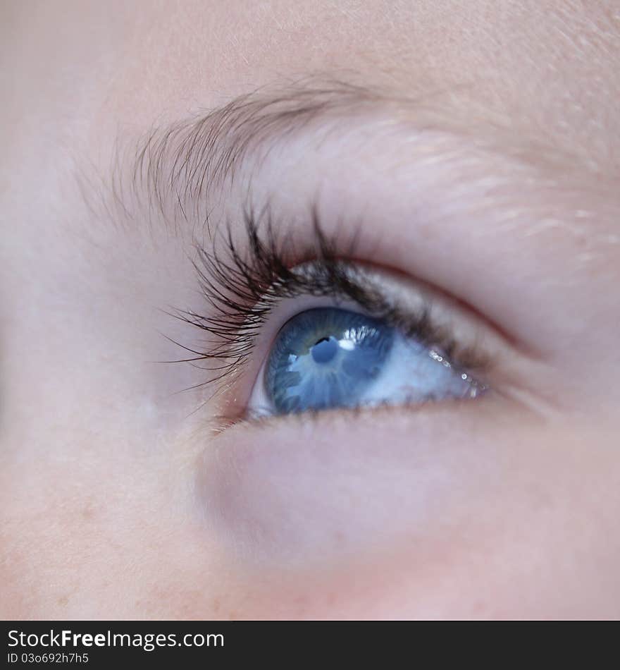 Close up of big blue eye with lashes