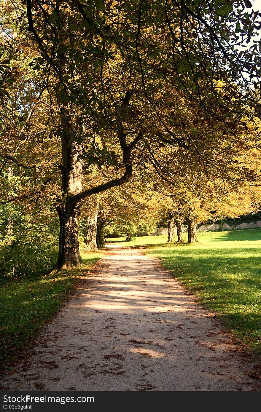 A pathway through a autumn park