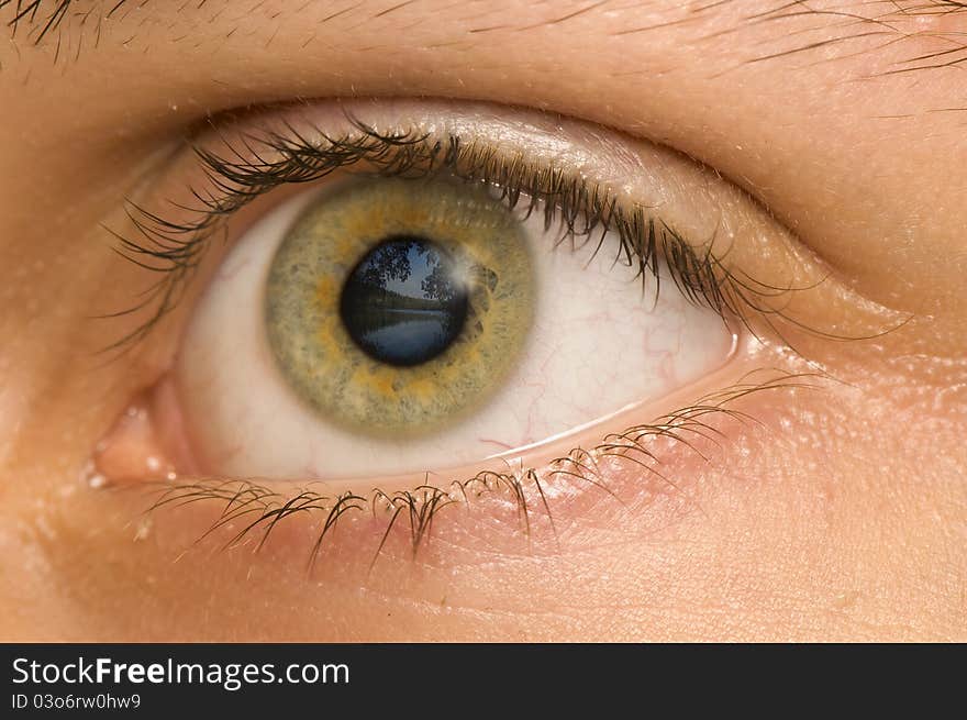 Eye of a young man staring at a lake in the summer.