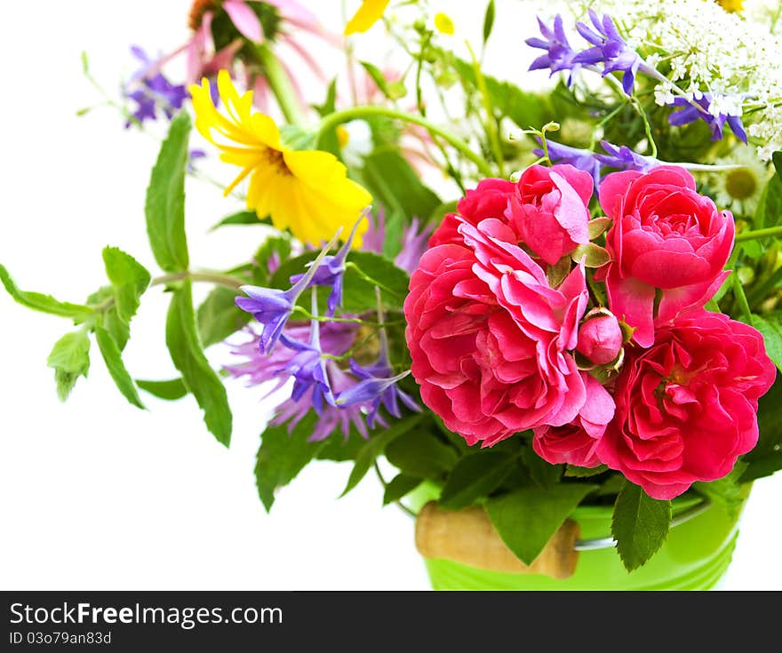 Wild summer flowers on a white background