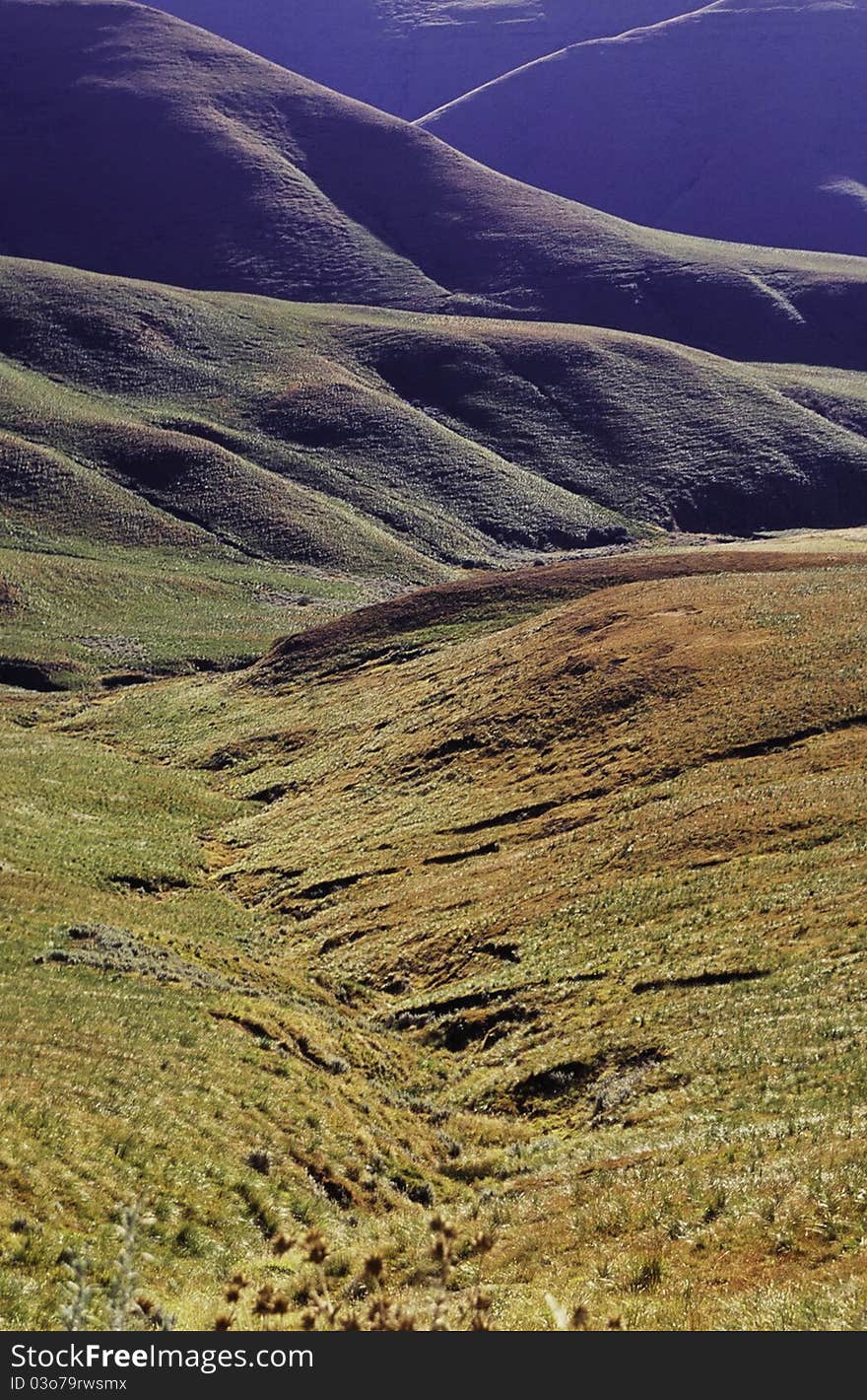 Grass covered slopes of the Drakensberg mountains, South Africa. Grass covered slopes of the Drakensberg mountains, South Africa.