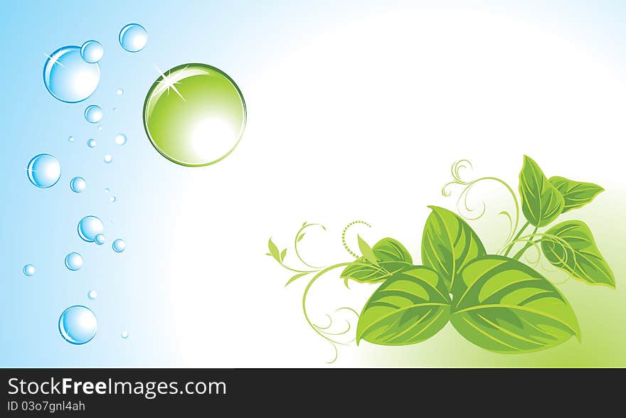 Drops and sprigs. Background for banner. Illustration