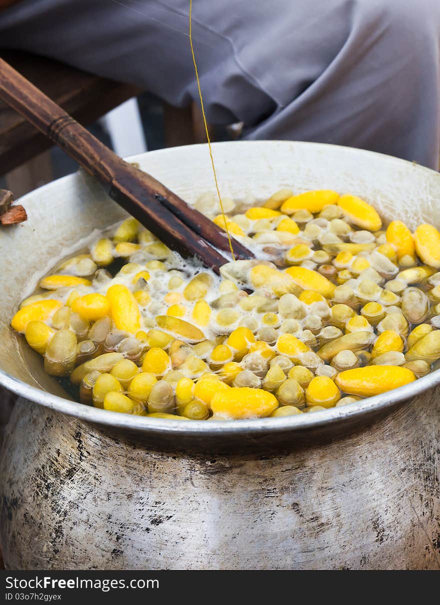 Boiling cocoon in a pot