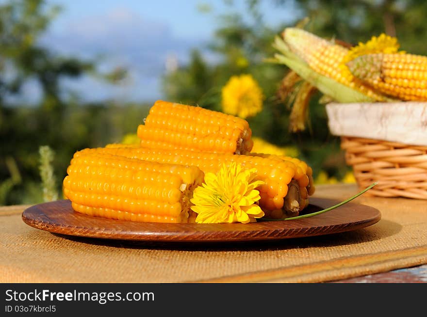 Wooden plate with boiled corn.