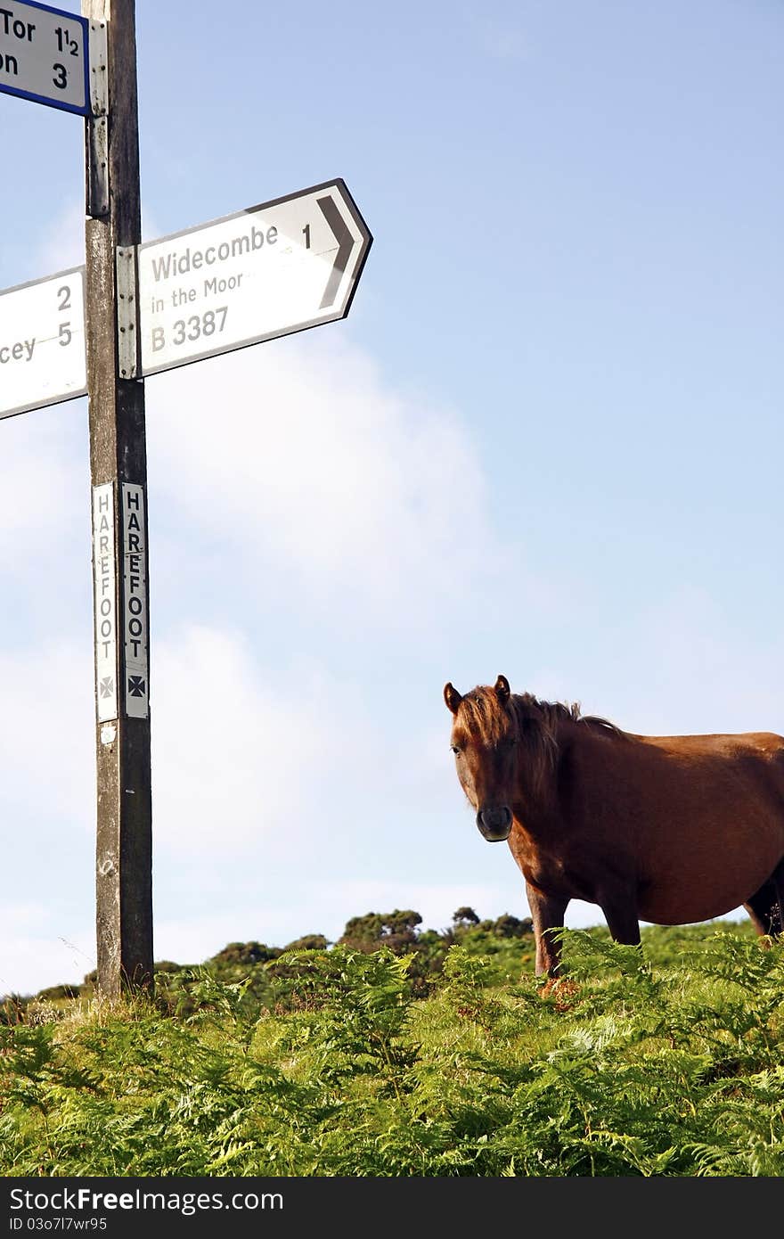 Harefoot Cross on Dartmoor, to Widecombe in the moor. Harefoot Cross on Dartmoor, to Widecombe in the moor