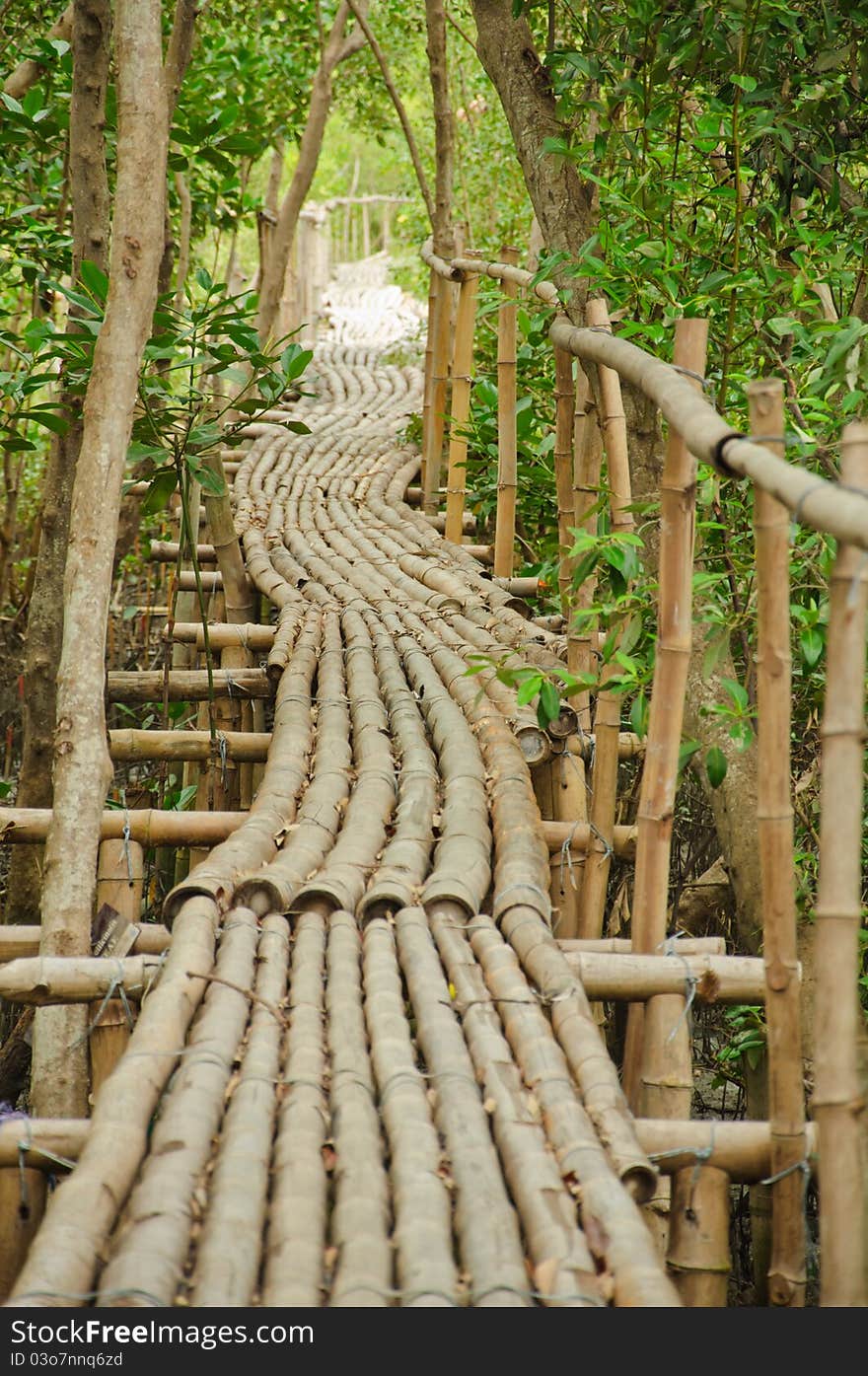 Bamboo walkway in Mangrove forest