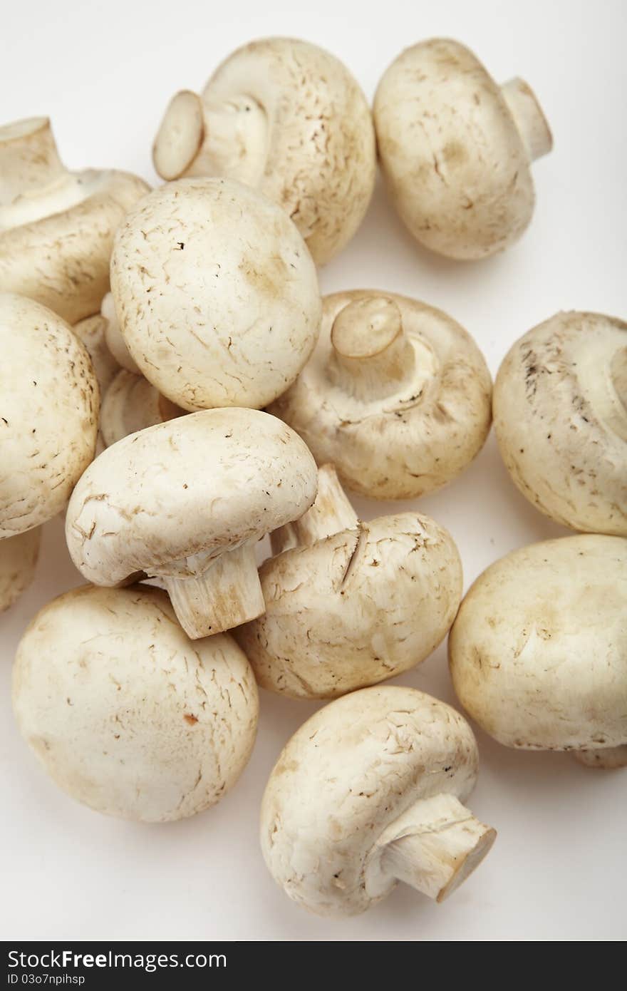 Fresh mushrooms on white background