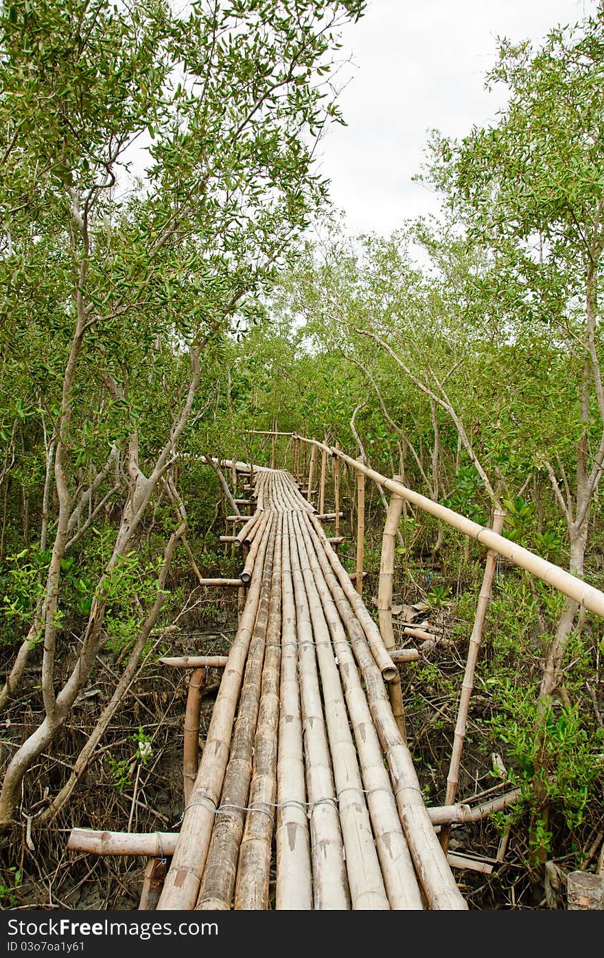 Bamboo walkway in Mangrove forest at Petchabuti, Thailand