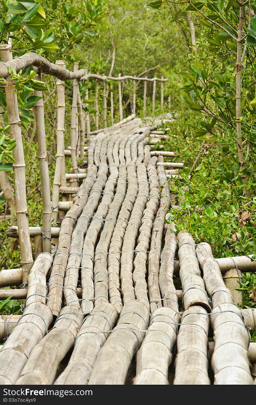 Bamboo walkway in Mangrove forest at Petchabuti, Thailand