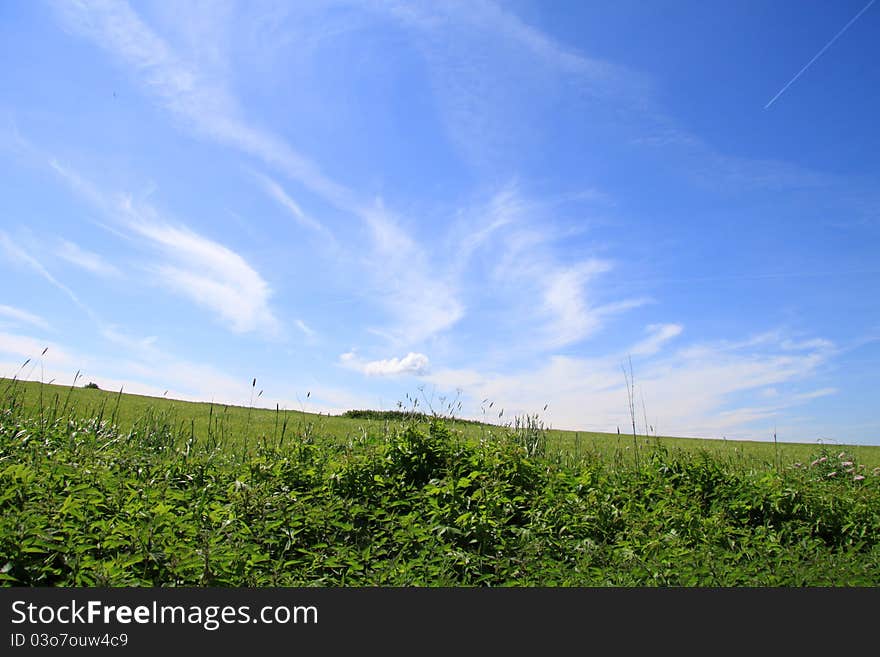 Sky with clouds and grass