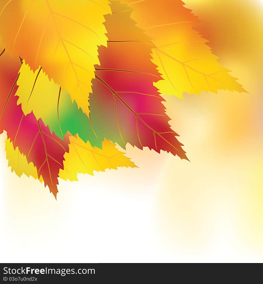 Colorful autumn background. Vector illustration