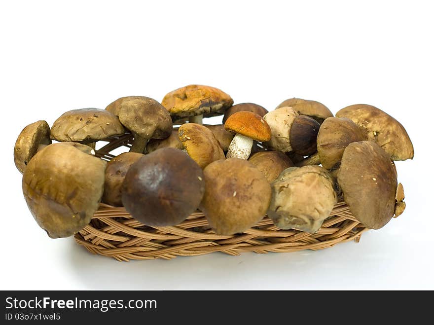 Fresh Wild Mushrooms On White Background