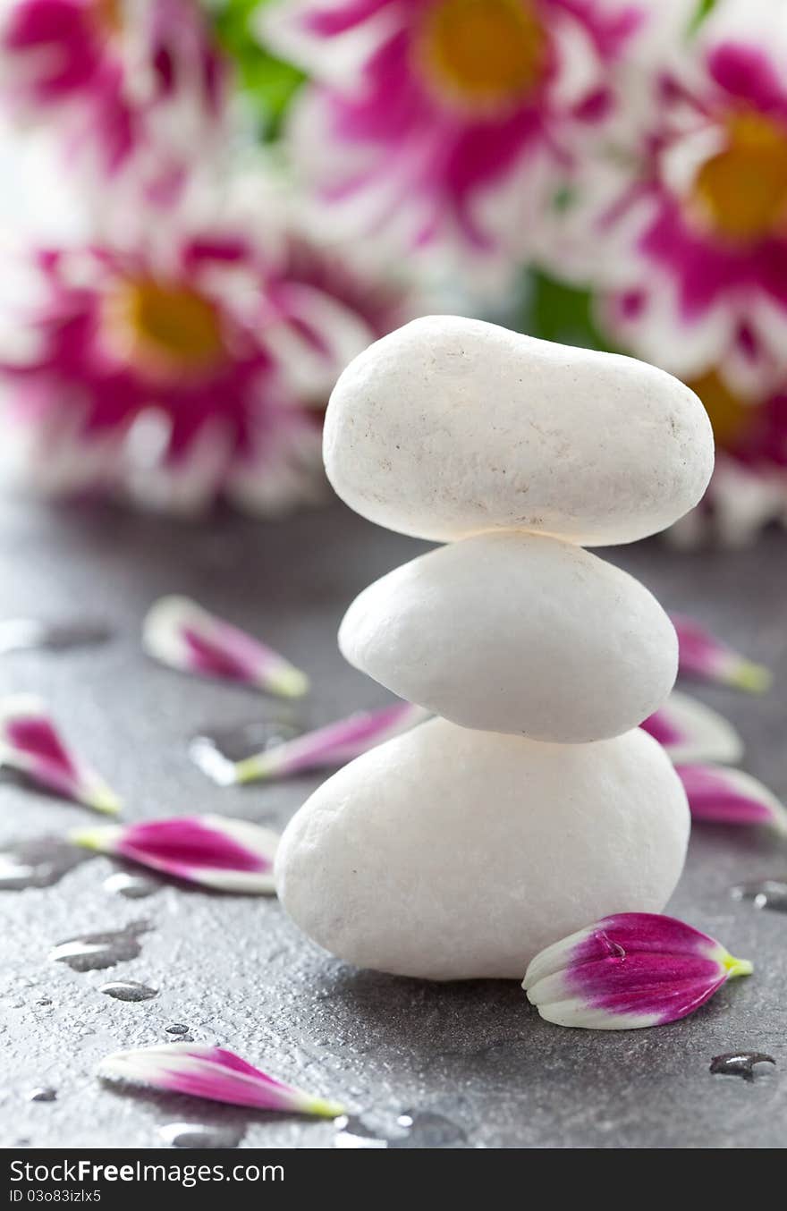 Stacked white stones and petals. Stacked white stones and petals