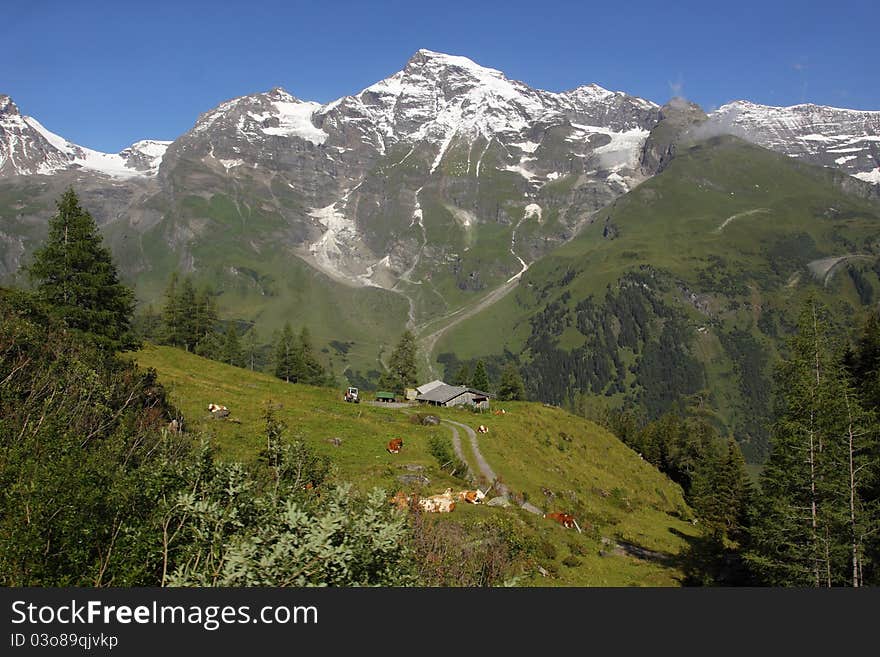 Grosses Wiesbachhorn in Alps