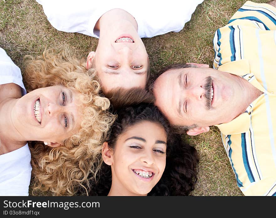 Happy family of four on green grass. Happy family of four on green grass.