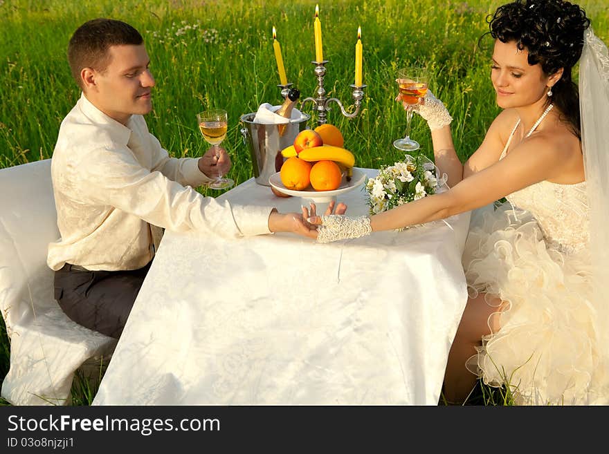 Bride and groom at wedding table on the field. Bride and groom at wedding table on the field