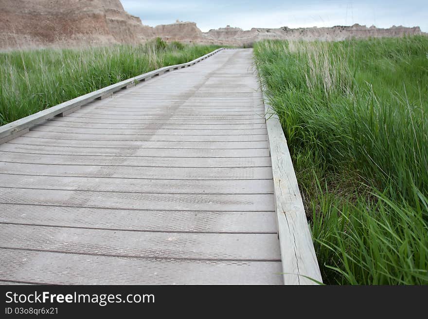 Wooden walking path through a field. Wooden walking path through a field