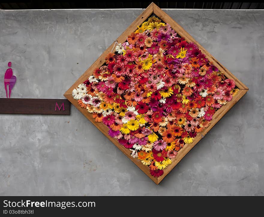 The art of the Gerbera, many flower in the frame.