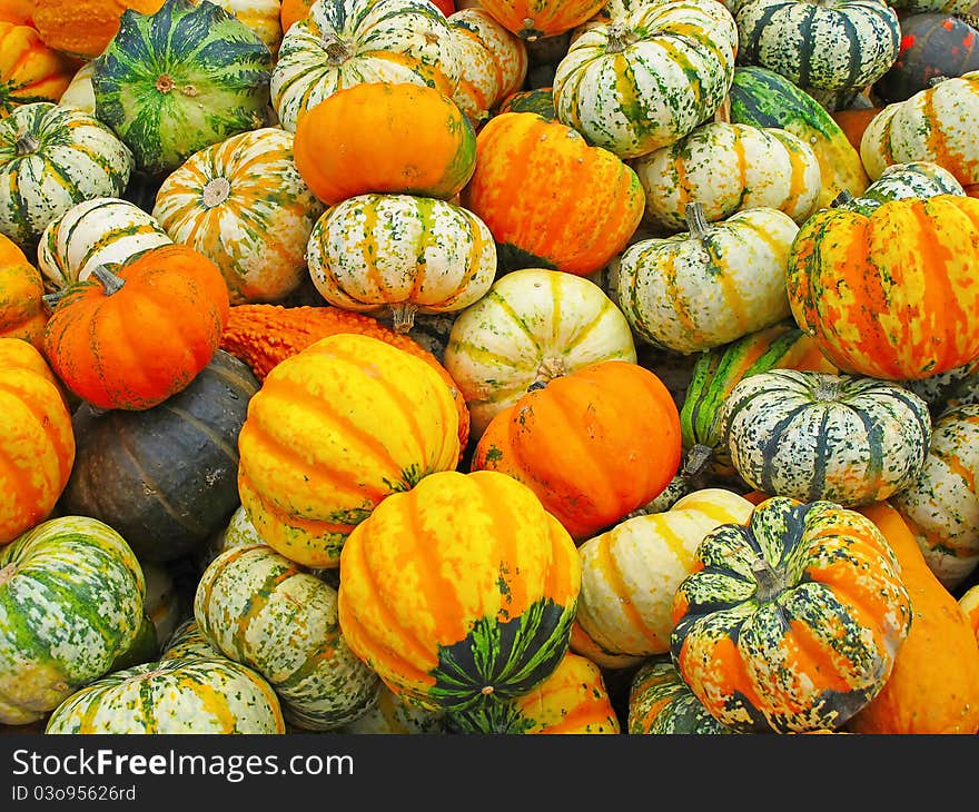 Colorful Pumpkins