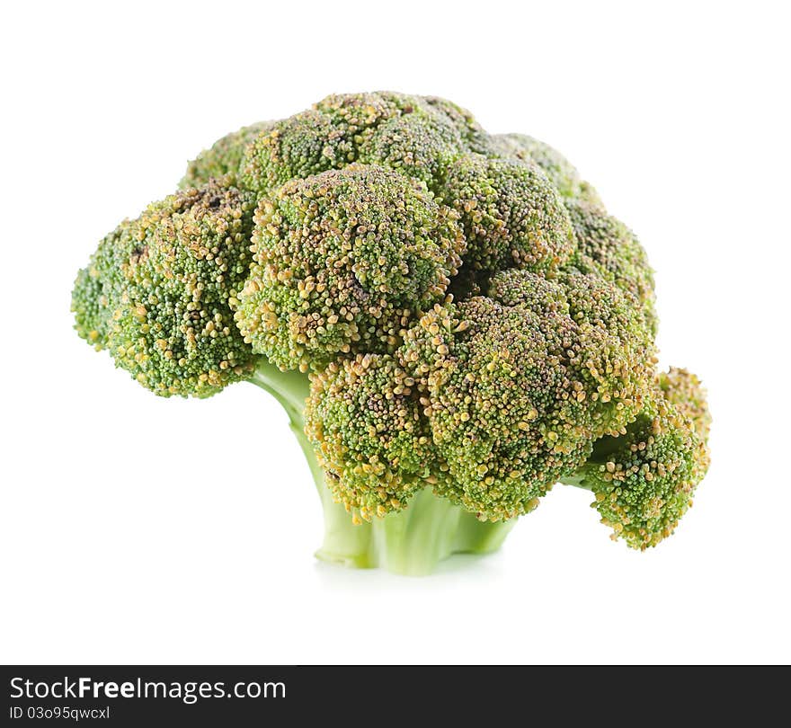 Broccoli