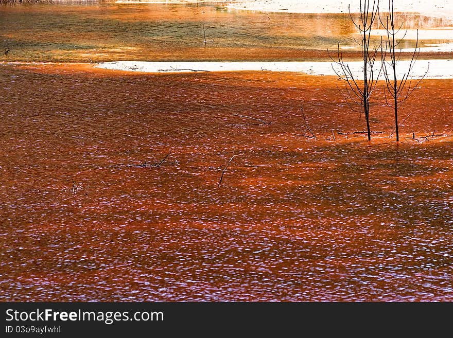 toxic spill from a mining. toxic spill from a mining